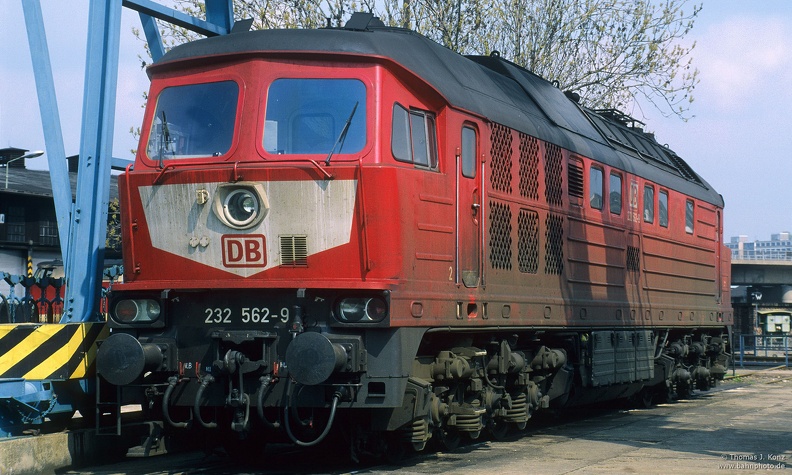 4033.jpg