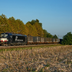 193 - Vectron