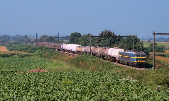 2010