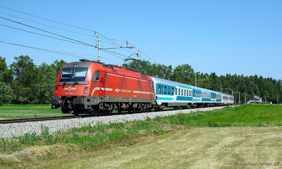 541 019